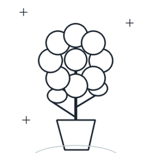Flor no vaso para colorir e imprimir grátis